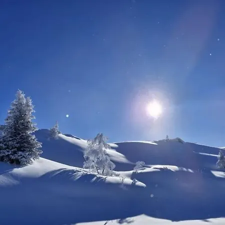 Montagne Prapoutel Station Les Adrets